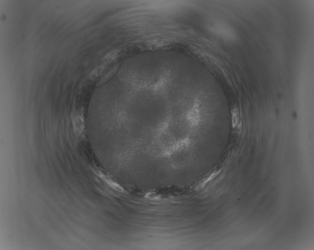 X0000077351011200611031815