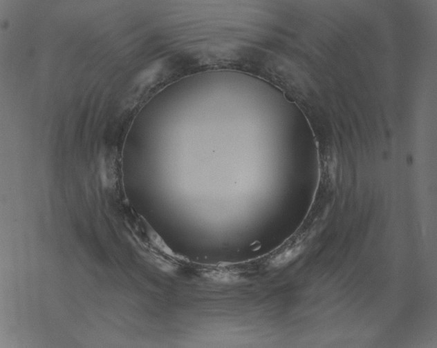 X0000077351012200611031815