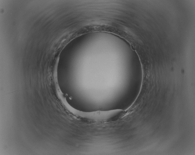 X0000077351014200611031816