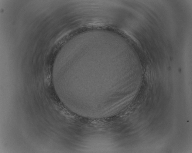 X0000077351015200611031816