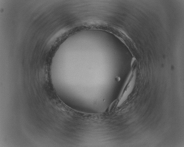 X0000077351016200611031816