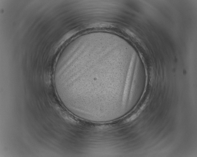 X0000077351017200611031816