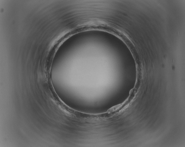 X0000077351018200611031816