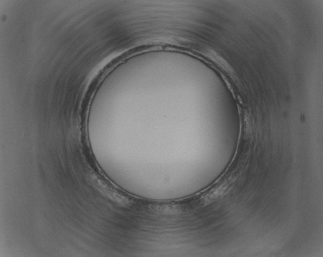 X0000077351020200611031816