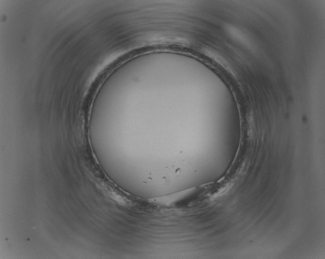 X0000077351021200611031816