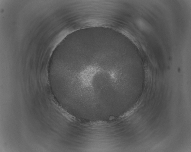 X0000077351023200611031816