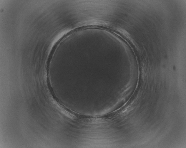 X0000077351024200611031816