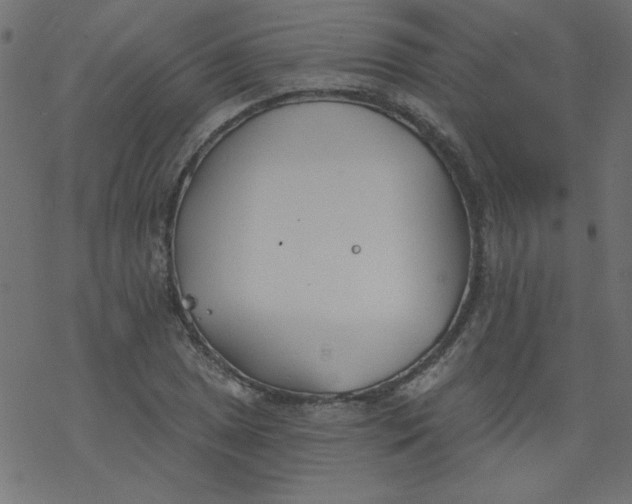 X0000077351025200611031816