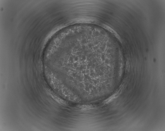 X0000077351027200611031816