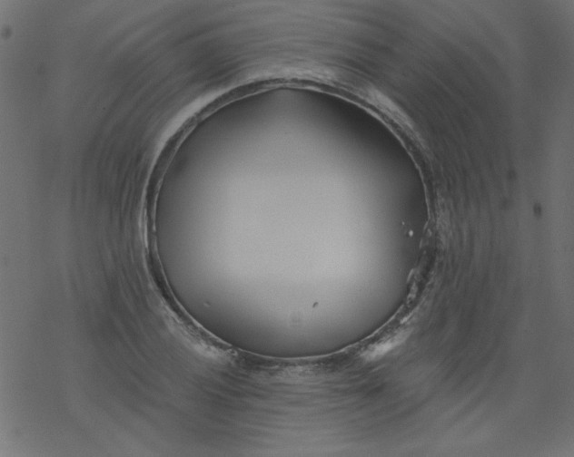 X0000077351028200611031816