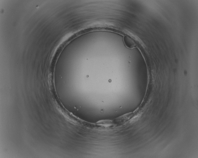 X0000077351029200611031816