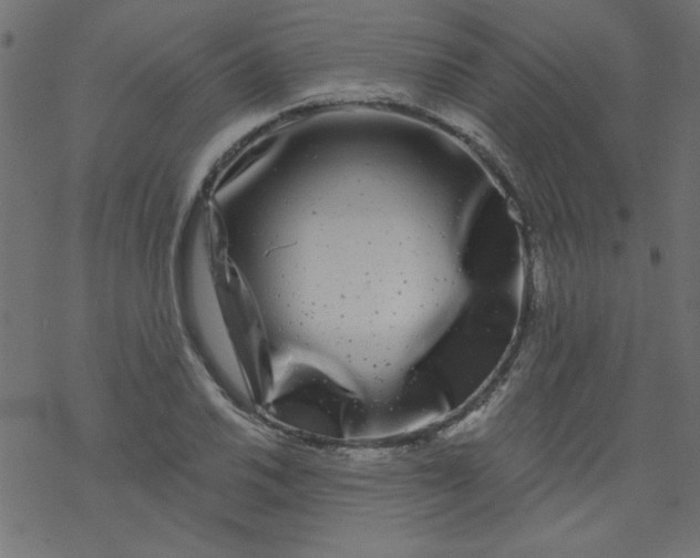 X0000077351030200611031816