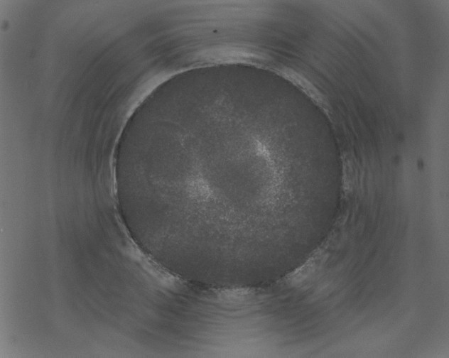 X0000077351031200611031816