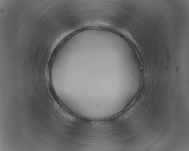 X0000077351032200611031816