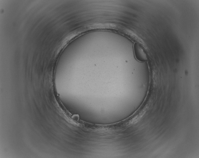 X0000077351033200611031816