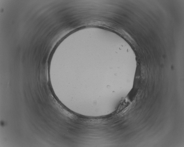 X0000077351036200611031816