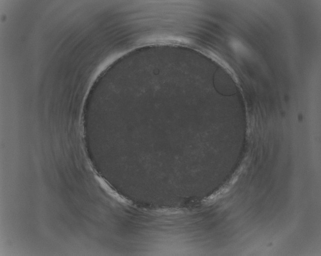 X0000077351037200611031816