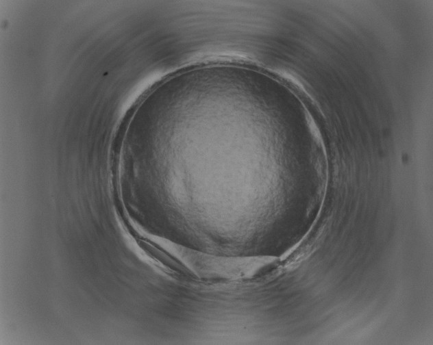 X0000077351038200611031816