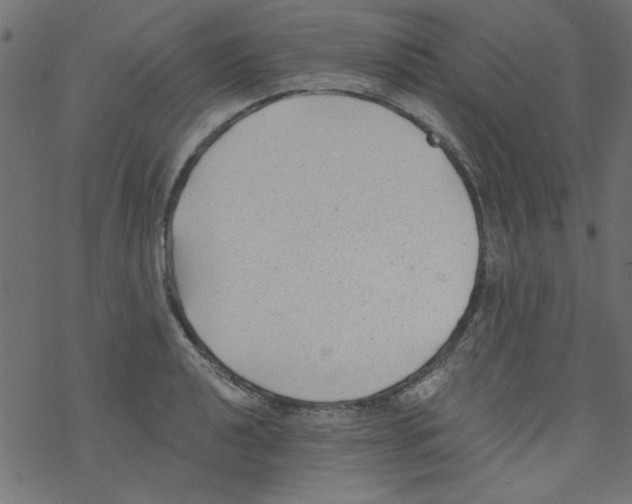 X0000077351040200611031816