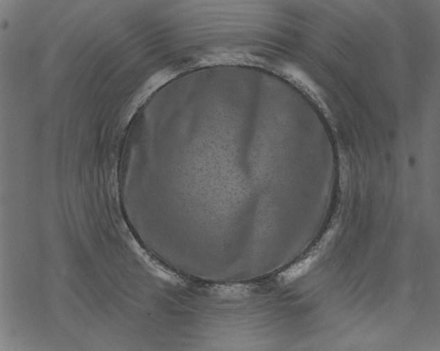 X0000077351041200611031816