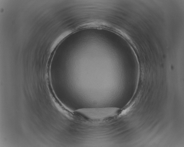 X0000077351042200611031816