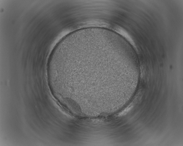 X0000077351043200611031816