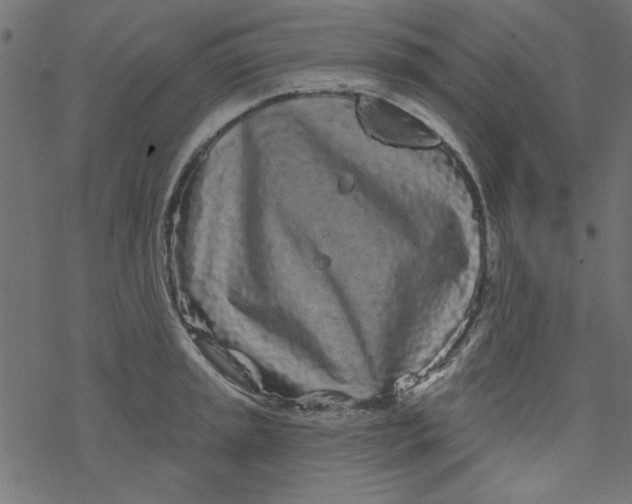 X0000077351045200611031816