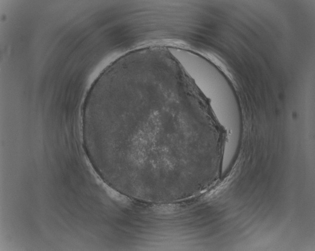 X0000077351046200611031816