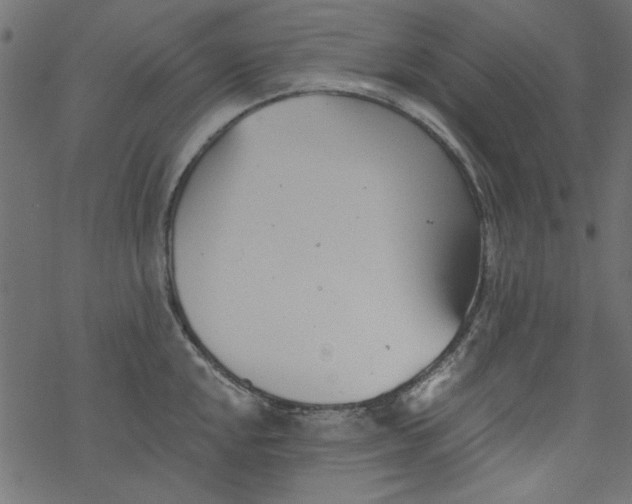 X0000077351048200611031816