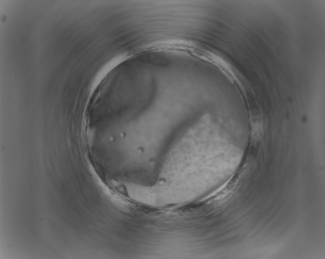 X0000077351050200611031816