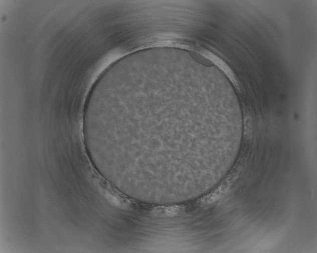 X0000077351051200611031816