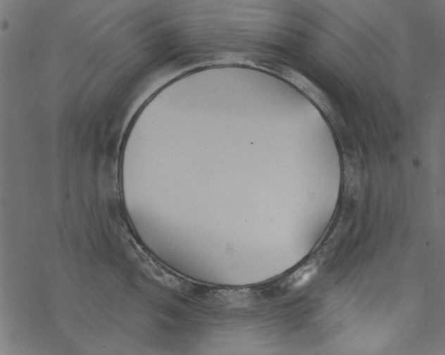 X0000077351052200611031816