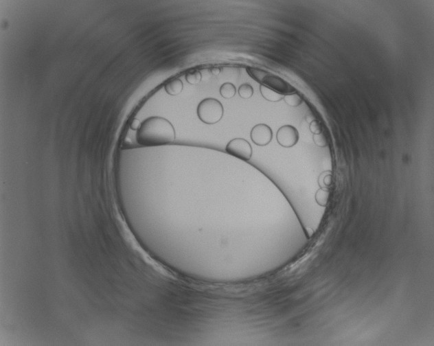 X0000077351053200611031816