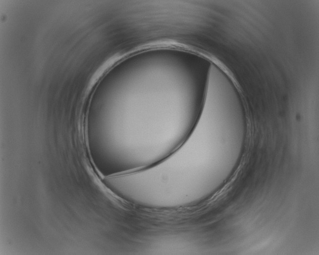 X0000077351054200611031816