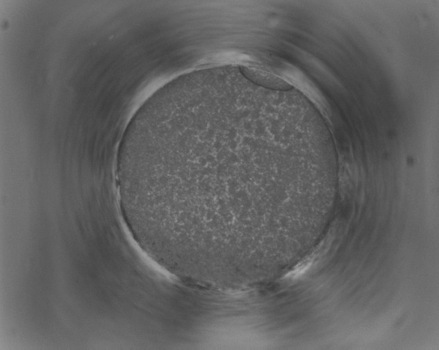 X0000077351055200611031816