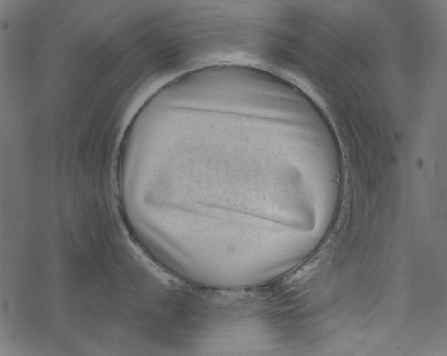 X0000077351056200611031816