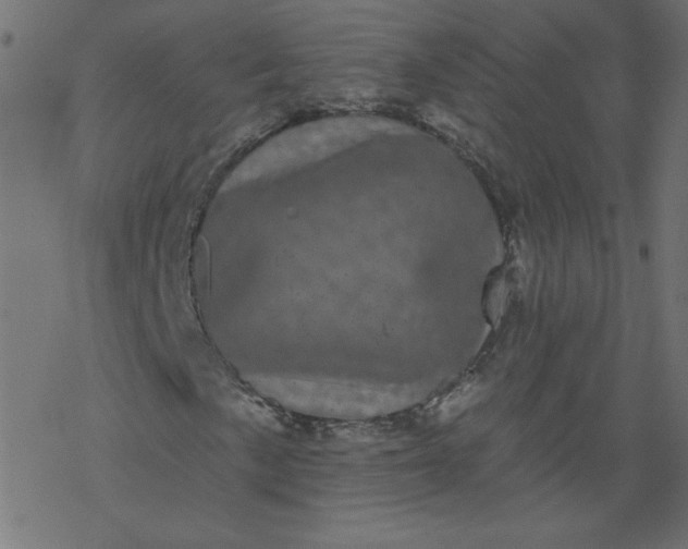 X0000077351057200611031815