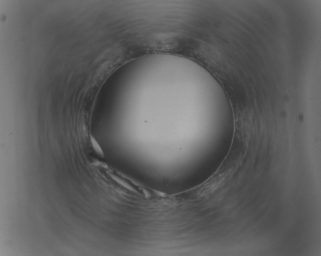 X0000077351058200611031815