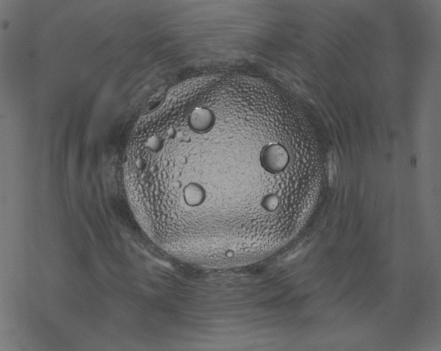 X0000077351059200611031815