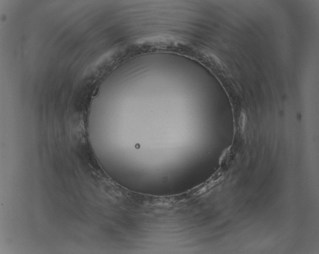 X0000077351062200611031815