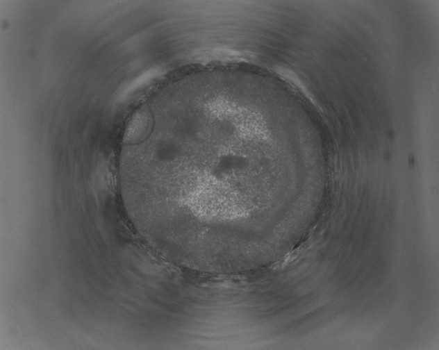 X0000077351063200611031815