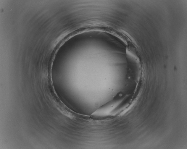 X0000077351065200611031815