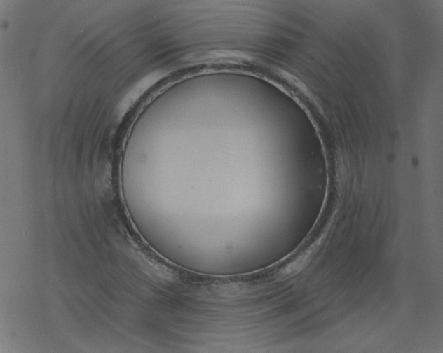 X0000077351066200611031815