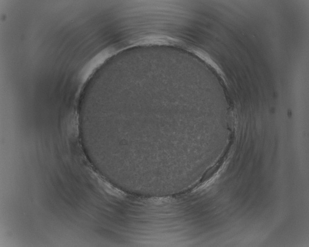 X0000077351067200611031815