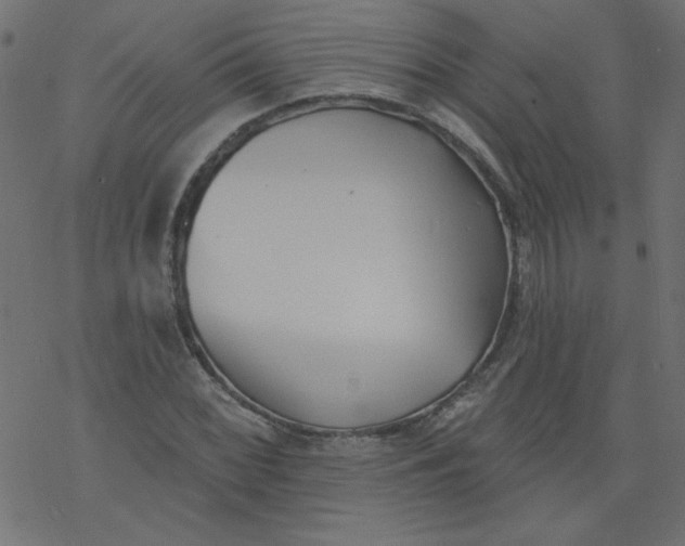 X0000077351068200611031815