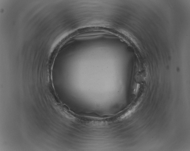 X0000077351069200611031815