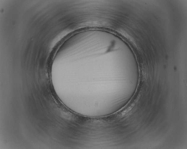 X0000077351070200611031815