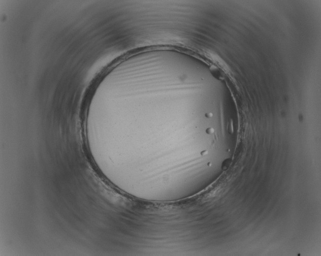 X0000077351072200611031815