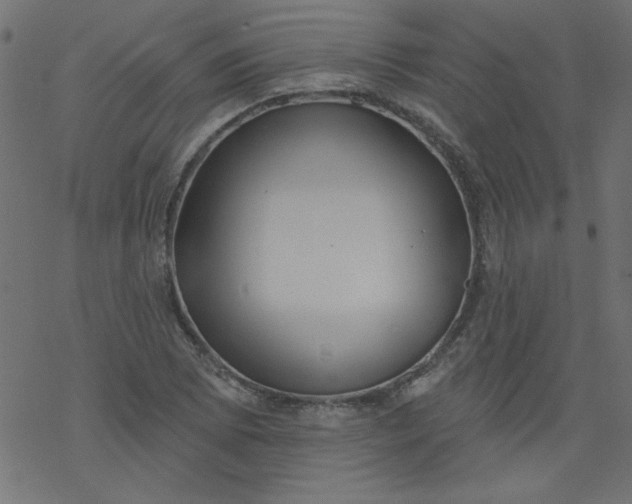 X0000077351073200611031815