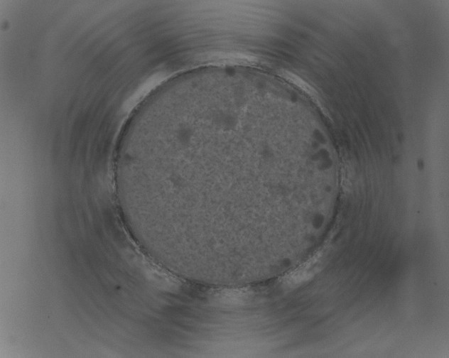 X0000077351074200611031815